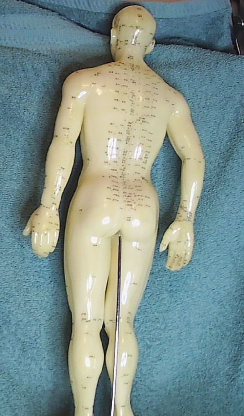 Vintage Chinese Acupuncture Model ~Nude male sculpture~ Science Biology 20″ tall