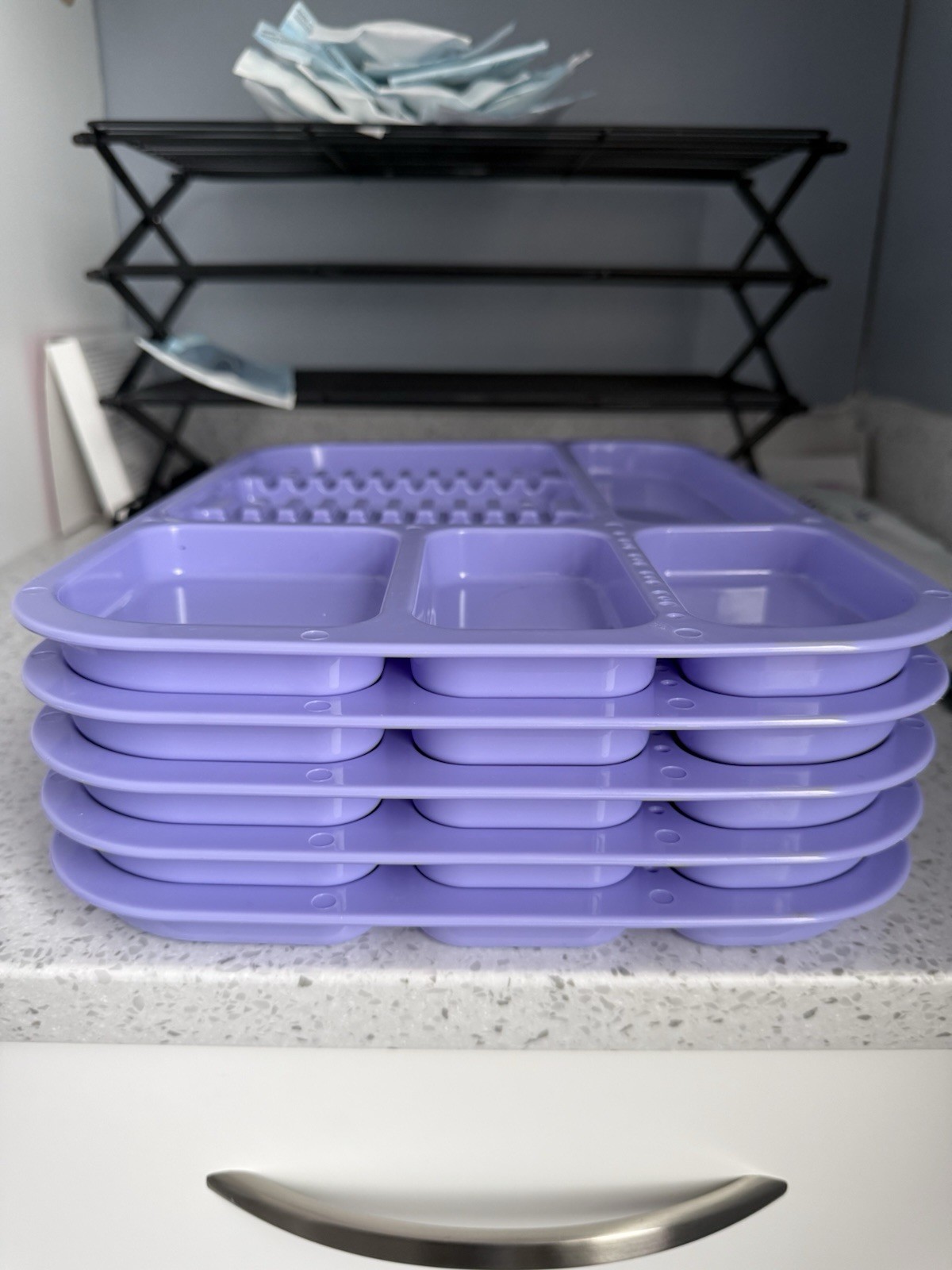 Large Purple Plastic Compartmentalized Trays, 5 Compartments, Set of 6