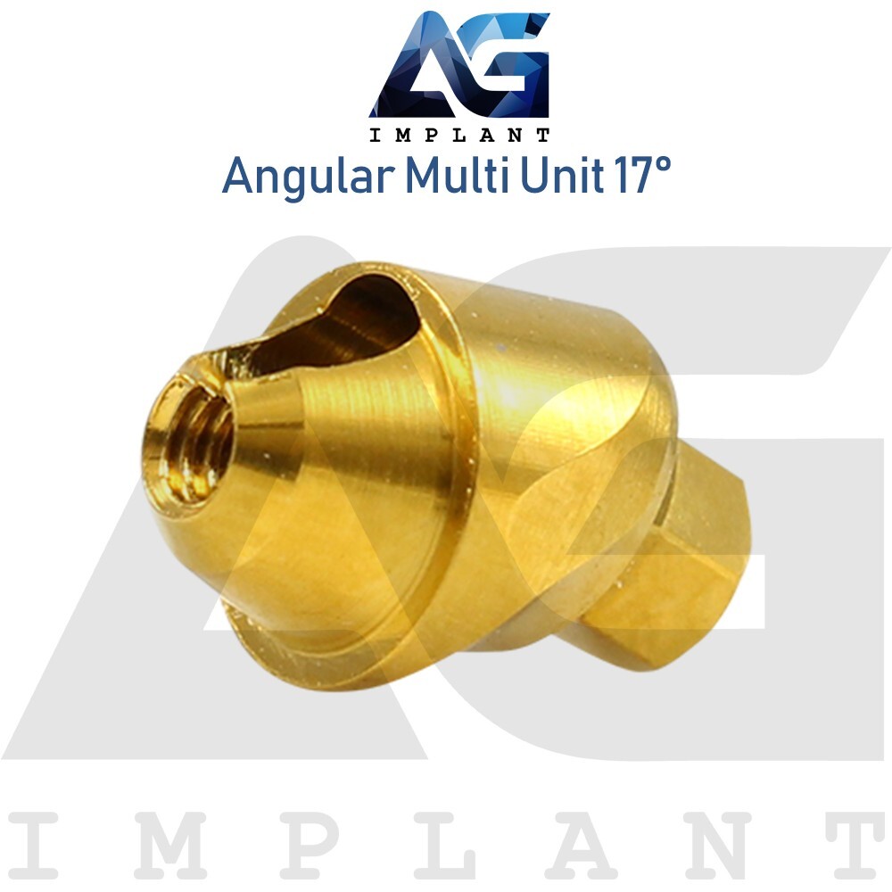 5 Angular Multi Unit 1.6 Abtments 17° and Titanium Sleeve With Screw
